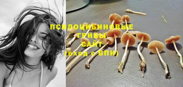 ALPHA PVP Баксан