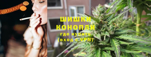 ПСИЛОЦИБИНОВЫЕ ГРИБЫ Балахна